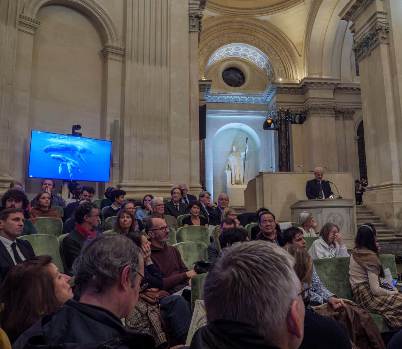 Sous la Coupole Étoilée : Une Nuit de la Lecture Inoubliable à l’Institut de France